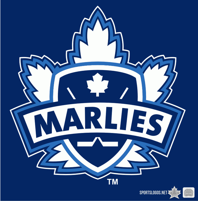 Toronto Marlies 2005 06-Pres Alternate Logo iron on transfers for clothing